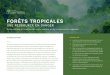 FORÊTS TROPICALES · Accessed through Global Forest Watch on 30/04/19. . PERTE GLOBALE DU COUVERT FORESTIER DANS LES FORÊTS TROPICALES, 2001 À 2018 The boundaries and names shown