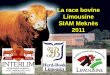 La race bovine Limousine SIAM Meknès 2011 · INTERLIM Génétique Service Gilles Lequeux 00 336 88 20 61 57 France Limousin Sélection Olivier Rambert Olivier.rambert@limousine.org