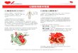 心臟衰竭基本常識 - Cardiac Services BC HF (T.Chinese).pdf · 這樣一來，身體就得不到必需的血、 氧氣、營養來有效工作。 心臟衰竭通常會愈來愈嚴重。當心臟衰竭
