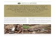 TABLE OF CONTENTS IRCF REPTILES & AMPHIBIANS â€¢ Bulletin of the American Museum of Natural History