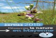 Découvrez la nature en Mayenne - biolovision.netfiles.biolovision.net/...4 4| Guide des sorties & animations 2015 - Mayenne Nature Environnement Orchidées 2015/2016 : deux années