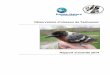 Observatoire d’oiseaux de · PDF file 2015-05-01 · AVANT-PROPOS Ce rapport annuel de l’Observatoire d’oiseaux de Tadoussac (OOT) dresse un bilan synthèse des différentes
