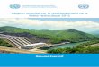 Rapport Mondial sur le Développement de la Petite ...€¦ · Ouverture et Partage” et la stratégie de politique énergétique de “Préservation, Propreté, et Sécurité”;