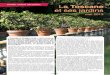 APJRC / Autour des jardins La Toscane et ses jardins a 27.pdf · le plus sublime des paysages. Des collines douces exaltées ... de statues au niveau supérieur, un théâtral escalier