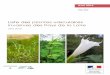 Liste des plantes vasculaires des Pays de la Une première liste des plantes invasives en Pays de la Loire a été réalisée en 2008 (Lacroix P. et al., 2008) dans le cadre d’un