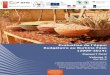 Budgétaire au Burkina Faso (2009-2014) · Coopération Internationale et Développement EuropeAid Evaluation de l’Appui Budgétaire au Burkina Faso (2009-2014) Rapport final Volume