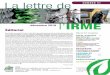La lettre de NUMÉRO 51 - IRMEirme.org/IMG/pdf/irme-lettre-51.pdf · Les traumatismes rachidiens avec atteinte de la moelle épinière sont fréquents (environ . 1 000 à 1 200 nouveaux