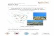 Anthropisation du trait de côte de l’île de Mayotte et ... · Anthropisation du trait de côte de l’île de Mayotte - M2 OEM - UPMC 6 Gómez Garvín, Jaime Liste des Figures