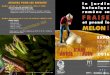 ATELIERS POUR LES ENFANTS n - LorraineAUcoeur.comJardin botanique JEAN-MARIE PELT 22-04 22- 11 FRUITS EXPO 2016 n e a E e MELON ! Suivez-nous sur : PROGRAMME AVRILMAIJUIN ATELIERS