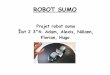 Projet robot sumo Îlot 2 3°4: Adam, Alexis, Nölann ... · Présentation de l’équipe Dans notre équipe il y a Nölann le rédacteur, Alexis le traceur et il a coupé le PVC,
