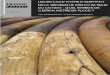 LES STOCKS D’IVOIRE D’ELEPHANT TRAFFIC DE LA ......SMS Stockpile Management System (Système de gestion des stocks) SNCB Stratégie Nationale de la Conservation de la Biodiversité