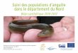 Suivi des populations d’anguille dans le département du Nord · Le plan de gestion des anguilles est établi dans le but de réaliser cet objectif à long terme. » (Conseil de