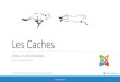 Joomla!3.x - Les Caches - JUG Wallonie | Joomla Belgique Caches - FINAL.pdf · OpCACHE -> Intégré nativement au moteur ZEND de PHP depuis la version 5.5. Rendant APC désuet. Cahe