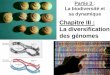 Chapitre III : La diversification des génomesbcpst-svt-parc.fr/wordpress/wp-content/uploads/2014... · Mutations chromosomiques par modification de la structure d’un chromosome