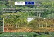 Impacts des activités agro-industrielles de Sud Cameroun ... · Impacts des activités agro-industrielles de Sud Cameroun Hévéa sur le site du patrimoine mondial Version finale,