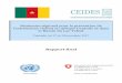 Séminaire régional pour la prévention de …...Rapport final Séminaire régional pour la prévention de l’extrémisme violent en Afrique Centrale et dans 1 Table des matières