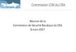 Réunion de la Commission de Sécurité Nautique du CRA 8 ... · Réunion de la Commission de Sécurité Nautique du CRA 8 mars 2017. ... Point d’avanement du CRA 2) Fonctionnement