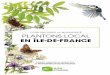 POUR FAVORISER LA BIODIVERSITÉ PLANTONS LOCAL · tous les Franciliens grâce à la nature → Faire de la biodiversité un atout économique et d’innovation → Placer la biodiversité