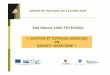 Site Natura2000 FR7302002 «CAVITES ET COTEAUX ASSOCIES … · 150 en 2016. GASQUES Suivi des chauves-souris Période automnale (09/10/2017 et 10/10/2017) Transit et regroupements
