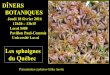 Les sphaignes du Québec€¦ · : Flora of North America, North of Mexico (FNA). vol 27: Bryophytes: Mosses, part 1=> Sphagnaceae: p 45-101 => 89 espèces En collaboration avec Cyrus