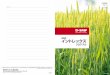 BASF イントレックス技術資料 20190917 · ゼミウム の特長 ③ イントレックス フロアブルの各作物における試験結果 ... 0 0.1 29.5 イン ... 0