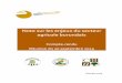 Note sur les enjeux du secteur agricole burundaiscsa-be.org/IMG/pdf_Enjeux_Agricoles_Burundi_GPA-CCF_.pdf · Page 4 I. Introduction La Coalition contre la faim (CCF - Belgique) et