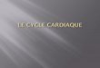 LE CYCLE CARDIAQUE - Faculté de Médecine Constantine · La pompe cardiaque est le siège d’une activité électrique d’une activité mécanique Le cœur se contracte de façon