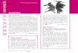 CNLJ - La joie par les livres - 003 pp.003 60.critiques22#9C813cnlj.bnf.fr/sites/default/files/revues_document_joint/... · 2017-11-27 · Anansi l’araignée déclenche la colère