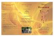 Flyer homme 2017 recto - Choisir d'être soichoisirdetresoi.com/.../2016/11/Flyer...rectoverso.pdf · - Des accompagnements à la Pleine Conscience, - Une connexion aux éléments