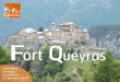 Assemblée Générale Constitutive · résultats ne sont pas à la hauteur des enjeux financiers du Fort Queyras : q115 donateurs q13 342 Euros •Dont 10 402 Euros en ligne (sur