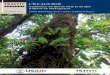 L’Île aux bois : le commerce de bois de rose et de bois d ...la biodiversité et du développement durable. TRAFFIC est une alliance stratégique du WWF et ... généreux du Peuple