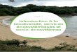Introduction à la biodiversité, services écosystémiques et ...€¦ · la biodiversité ainsi que sa valorisation à l’échelle régionale à travers la gouvernance des socio-écosystèmes