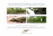Les liaisons écologiques entre le Bois Saint-Martin et la ... · La biodiversité se définit sur trois niveaux : - la biodiversité des écosystèmes : elle concerne les interactions