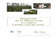 Diagnostic de la Filière Fruits en région Centre-Val de Loire · l’Agriculture et de la Forêt du Centre-Val de Loire (DRAAF Centre-Val de Loire), participent à l’élaboration