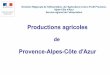 Provence-Alpes-Côte d'Azur - DRAAF PACAdraaf.paca.agriculture.gouv.fr/IMG/pdf/Diagnostic_paca_28_nov_201… · DRAAF PACA SRISE 09/02/2016. LES FRUITS. P O M M E S 390 000 tonnes