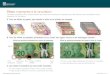 Billets impropres à la circulation - Banque du Canada · 2017-12-20 · Billets impropres à la circulation Les billets impropres à la circulation doivent être retournés à la