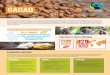 CaCao - Letz Step to FairtradeCaCao 14 millions de petits producteurs, travailleurs et leurs familles dépendent de la culture de cacao dans plus de 30 pays du Sud. Plus de 70 % de