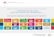 Rapport sur la mise en œuvre de l’Agenda 2030 au et par le ...Rapport sur la mise en œuvre de l’Agenda 2030 au et par le Luxembourg « Transformer les vies tout en préservant