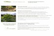 Programme de formations revision Automne 2018€¦ · Le Jardin Forêt : élément essentiel en permaculture et enjeu pour une agriculture biologique diversifiée Après une brève