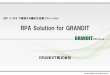 RPA Solution for GRANDIT · Web配信 帳票配信サービス ... PCにロックをかけなければロボットは稼働しますが、顧客マスターや人事情報等の『セキュリティが求め