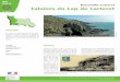 Site classé Barneville-Carteret Falaises du Cap de Carteret · 2014-05-28 · Sur la côte ouest du Cotentin, face aux îles anglo-normandes, la station balnéaire de Barneville-