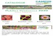 Dahlias Coutances 2020 - Campusagri.fr€¦ · 85 - Vanille Fraise /cactus/env. 120 cm 87 – Vulcan /demi cactus/env. 130 cm/large fleurs 120 –Vanilla/double décoratif/ N°2 festival