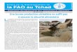 Echos de la Représentation de F la FAO au Tchad J N ... · mentaire. La diversification des cultures, la petite irrigation, la re - h er c su lv a ié tm o, nf d ag r ico le… p