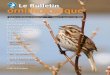 Club des ornithologues de Québec inc. | Volume 53, numéro 1, juin … · 2018-12-19 · du COQ sont de 22 $ pour un an et de 42 $ pour deux ans ; ... Appel de collaboratrices et