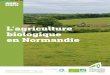 L’agriculture biologique en Normandie · 2020-05-15 · bio en Normandie sur les 6 premiers mois de l’année 2019. Nb exploitations. 56 installations aidées en AB en Normandie