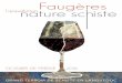 DOSSIER DE PRESSE - Languedoc Wines...sols et la vigne, et donc des vins, en passant par des prati ques viticoles à haute valeur environnementale. Enherbement des sols En AOP Faugères,