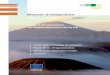 Manuel d’intégration de l’environnementeeas.europa.eu/archives/delegations/tunisia/... · tales dans la coopération au développement de la CE. Il est divisé en cinq chapitres