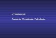 HYPOPHYSE: Anatomie, Physiologie, Pathologie.ifsiambroisepare20112014.f.i.f.unblog.fr/files/2011/10/... · 2011-10-19 · sinus sphénoïdal lobe temporal os sphénoïde carotide