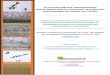 ACTUALISATION DES CONNAISSANCES ET ANALYSES OIE... · 2016-01-08 · Actualisation des connaissances sur la migration et l'écologie spatiale des oies cendrées en Europe de l'Ouest