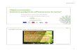 Objets connectés : Solutions gadgets ou efficaces pour la ...blogensante.fr/wp-content/uploads/2017/04/Ninot-Carcassonne-objet… · Les raisons principales de l’essor des objets